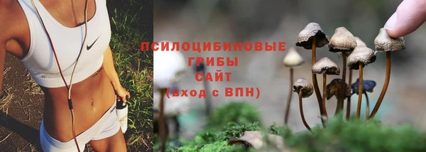 синтетический гашиш Козельск