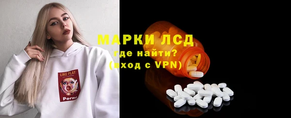 гашик Козловка