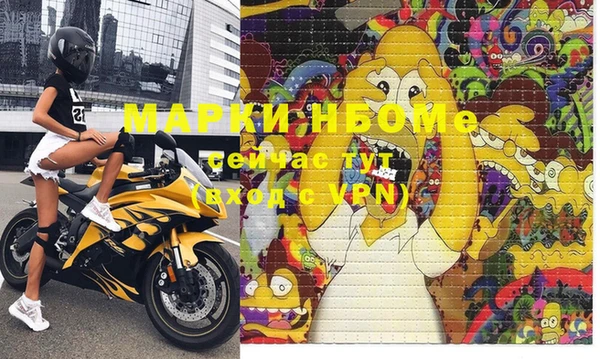 гашик Козловка