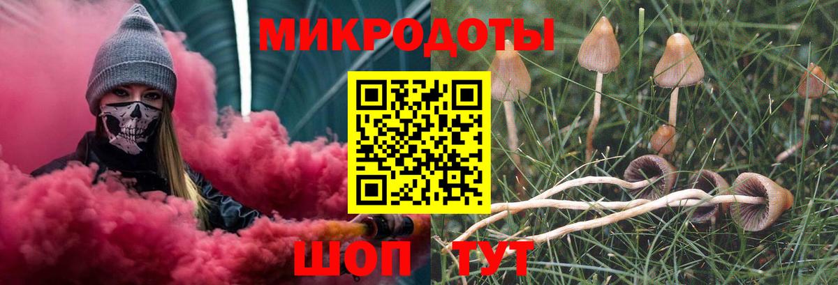 Псилоцибиновые грибы Psilocybe  хочу наркоту  Вход с VPN  Кстово  Псилоцибиновые грибы мицелий 