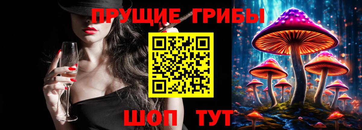 Псилоцибиновые грибы прущие грибы Кстово